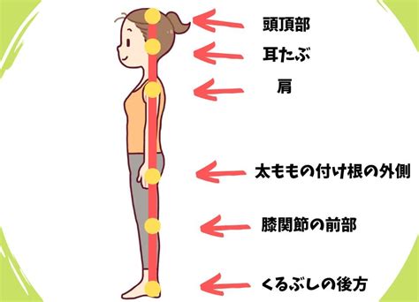 人 姿勢|正しくて美しい姿勢とは？ 4つのテストで姿勢と骨格。